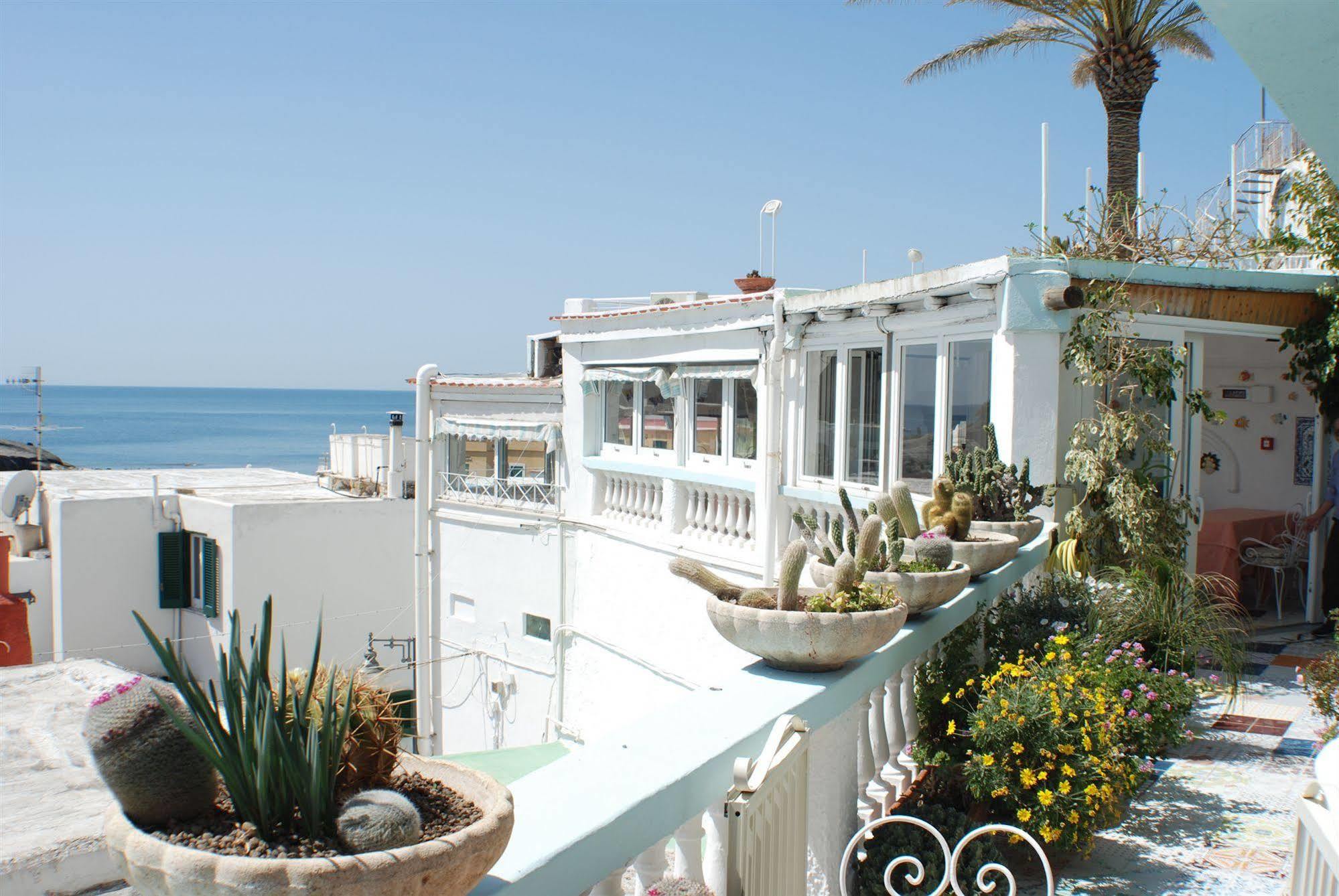 Hotel La Palma Sant'Angelo  Екстер'єр фото