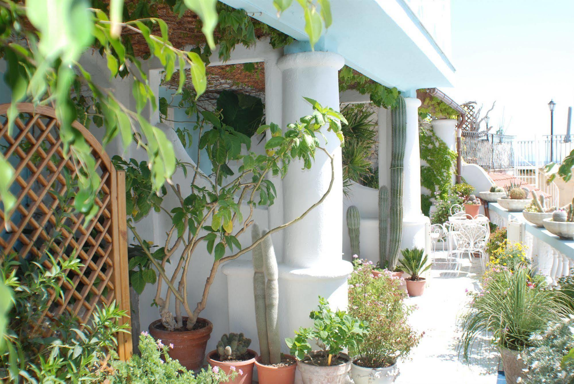 Hotel La Palma Sant'Angelo  Екстер'єр фото